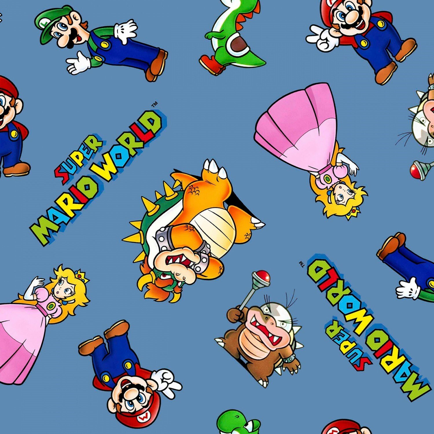 Mario World Adventure Canvas Fabric